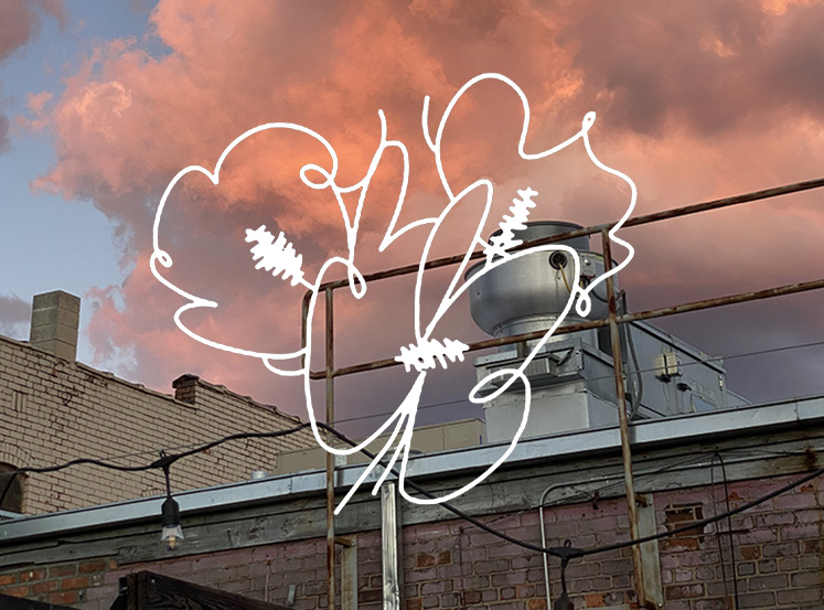 MeltdownMeals.FlowersOfVietnam